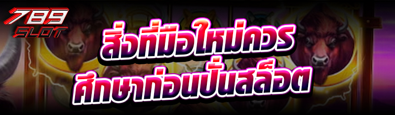 สิ่งที่มือใหม่ควรศึกษาก่อนปั่นสล็อต